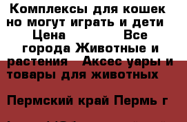 Комплексы для кошек, но могут играть и дети › Цена ­ 11 900 - Все города Животные и растения » Аксесcуары и товары для животных   . Пермский край,Пермь г.